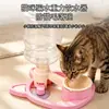 Nuevo dispensador de agua por gravedad para gatos, comedero de agua para perros, dispensador de agua automático, anti-pelo de gato, cuenco para gatos anti-humedad, suministros para mascotas