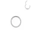 Joias de Piercing Corporal Quentes Transfronteiriças em Aço Inoxidável Brincos de Argola Sem Costura Zircônia Aço Titânio Argola Fechada Argola de Nariz Conjunto de Três Peças