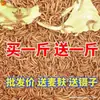 Gusano de la harina Gusano de la harina Vivo Gusano de la harina Amarillo Gusano de cebada Fresco Comida para Myna Tortuga Pájaro Pequeño Alimento Vivo Cebo Vivo Pesca