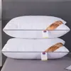 Núcleo de Almohada para el Hogar Piel Única Amigable Almohada Estudiante B&B Hotel Almohada de Hotel Amigable con la Piel Conferencia Venta Regalo Fabricante Venta Directa