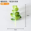 Suculentas Simuladas Personalizadas, Decorações de Plantas Verdes, Pequenos Enfeites de Cactos para Interior de Escritório, Plantas em Vasos e Bonsai para Atacado