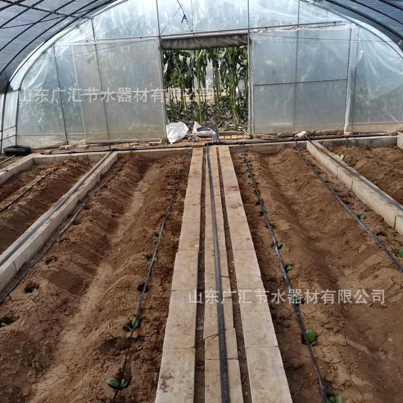 滴灌图1.jpg