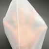 Bolsas con Cierre Frosted de CPE, 100 Piezas, con Impresión de Logo, Bolsas de Plástico Pe Transparentes para Empaque de Ropa, Ropa Interior y Pantalones, Espesadas