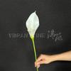 Flor Artificial Lirio de Calas Doble Pétalo de Gama Alta Tallo Único Lirio de Calas Decoración de Boda Hotel Flor Falsa Ramo de Novia Comercio Exterior Mayorista