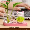 Lindo Gato de la Suerte Jarrón Hidropónico para Entrada, Aparador de Vino, Mueble de TV, Arreglo de Plantas de Escritorio de Oficina, Decoración del Hogar
