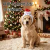 Z Adereço de Cabeça de Natal para Pet Chapéu de Natal para Gato Cachecol para Pet Decoração de Feriado Foto Acessórios para Pet