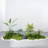 Musgo para Paisajismo de Plantas Verdes Plantas Artificiales Decoración Flores Artificiales Combinación Tropical para Interiores Paisaje de Ventana Persa Arreglo de Césped