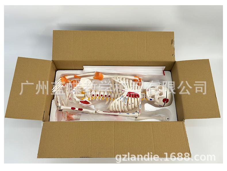 详情_15