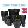 Taza para plántulas nutritivas, cuenco pequeño de plástico, maceta desechable para flores, bolsa negra nutritiva para plantar, bolsa para plántulas, maceta para plántulas, maceta nutritiva