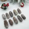 Pinhas Secas Naturais Materiais de Decoração para Árvore de Natal Fotografia de Bolos e Sobremesas Adereços para Fotografia de Buquês Florais Baoshi