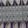 Módulo colorido 5050 de 3 luzes 7512 módulo colorido à prova d'água fabricantes de fontes módulo RGB fornecimento por atacado