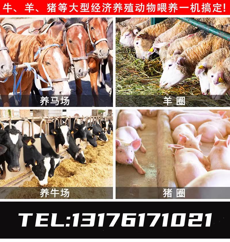 电动撒料车详情8.png