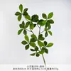 Hojas de gardenia artificiales, plantas verdes de madera de caballo, ramas de plantas verdes artificiales, ramas de árbol, productos terminados para decoración de bodas y arreglos florales