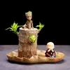 Planta de Madera Brasileña, Madera de la Suerte, Planta Tipo Árbol Groot, Floreciendo con Brotes, Planta Verde de Bajo Mantenimiento, Planta Pequeña en Maceta de Escritorio para la Oficina