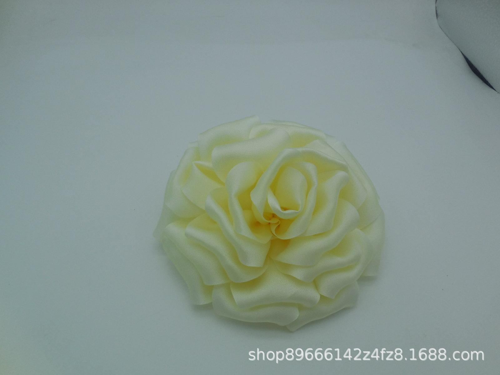 DSCN0671.JPG