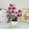 Estilo Escandinavo Quadrado Orquídea Vasos Ornamentos Entrada da Casa Varanda Cenário Filme Artificial Planta Verde Pequeno Bonsai