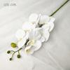 Uma flor de madeira Estrada fábrica direta nova casa Hóspede restaurante Decoração flores de exibição cola de simulação sentir Phalaenopsis