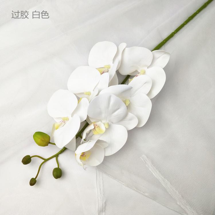 QQ图片20190320190703_副本_副本_副本
