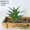 2026 Simulación de Suculentas Mini Adornos Combinación Decoración Exterior para el Hogar Plantas en Maceta Bonsái Suculentas Decoración al por Mayor