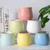 Macetas de Cerámica, Macetas para Plantas Verdes, Adornos de Decoración para Escritorio y Hogar, Bonsáis Creativos Hechos a Mano, Macetas de Cerámica Creativas