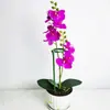 Fijación de Planta Antivuelco Soporte para Flores Soporte de Jardinería Poste Único Jardín Exterior Soporte para Rosas Trepadoras Hortensias Soporte para Flores