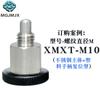 Perilla de pasador de indexación mini de acero inoxidable émbolo SPMXSM pasador de resorte de bloqueo de tarjeta MXSFCS/PMXSB/XMXTS