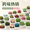Más de 100 Tipos de Combinaciones de Plantas Suculentas Artificiales en Maceta Mini, Ventas Transfronterizas Populares, Estilo Sencillo Decoración del Hogar Flores Artificiales y Plantas Verdes, Directo de la Fábrica Fuente
