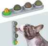 Bola Giratória de Catnip Brinquedo Auto Divertido para Gatos Molar Limpeza Dental Mordida Menta Petiscos para Gatos Doce Lambível para Gatos Amazon