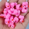 Transfronterizo makaron diy accesorios hechos a mano accesorios de resina adornos de micro paisaje paisajismo de musgo miniatura patito de color
