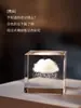 Adornos de Escritorio Cúbicos de Nubes Adopción de una Nube para Enviar a Niñas a Nicho de San Valentín de Alto Nivel Curación Regalo de Cumpleaños