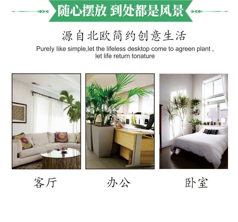 详情_09.jpg