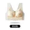 Comercio Electrónico Transfronterizo Amazon TEMU Shein Encaje Francés Copas Fijas Sin Costuras Espalda Hermosa de Reúne Tallas Grandes Ropa Interior para Mujer