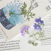 Pequena Beleza Sakura com Galhos, Flores Secas, Espécimes de Plantas em Relevo, Flores Prensadas Manuais DIY, Velas Perfumadas, Flores para Porta-Retrato
