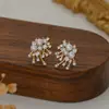 Pendientes de Flor de Fuegos Artificiales Diamante Super Flash Aguja de Plata Estilo Fresco Nicho Coreano Pendientes de Diseño Personalizado de Moda