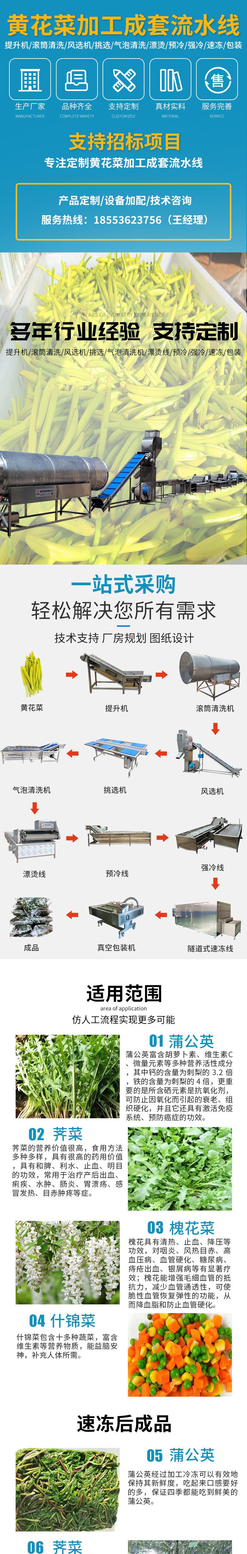 黄花菜成套流水线详情_01.jpg
