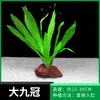 Piedra Volcánica Plantada Plantas Acuáticas, Hierba Ciempiés, Higo de Agua, Plantas Acuáticas Perezosas, Plantas Acuáticas para Acuario, Plantas Verdes Negativas, Césped Real