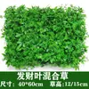 Plástico Planta Verde Simulação Planta Parede de Fundo Decoração Teto Interno Muro Externo Gramado Gramado Artificial