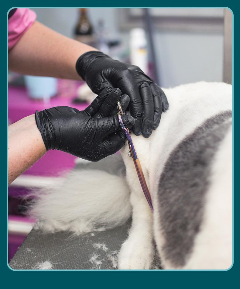 英科医用黑色丁腈_18