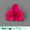 Flores da série vermelho rosa, tiaras de rosa e peônia cor-de-rosa, materiais para acessórios de cabelo, decorações de casamento, adereços de fotografia