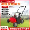 Cortador de Raíces para Césped, Tipo Empuje Manual para Eliminar la Capa de Hierba Muerta, Máquina de Mantenimiento para Oxigenar y Ventilar, Máquina para Replantar Césped y Peinar el Césped