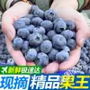 Mirtilos de Yunnan Frutas Frescas da Estação Atacado uma Caixa Inteira de Frutas Extra Grandes Grandes Frutas Frescas para Grávidas e Bebês como Alimento Complementar para Melhorar a Visão