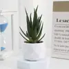 Set de Suculentas Simuladas Plantas Verdes Pequeños Bonsáis Flores Artificiales Transfronterizas Decoración del Hogar Adornos de Escritorio Plantas de Plástico Flores Artificiales