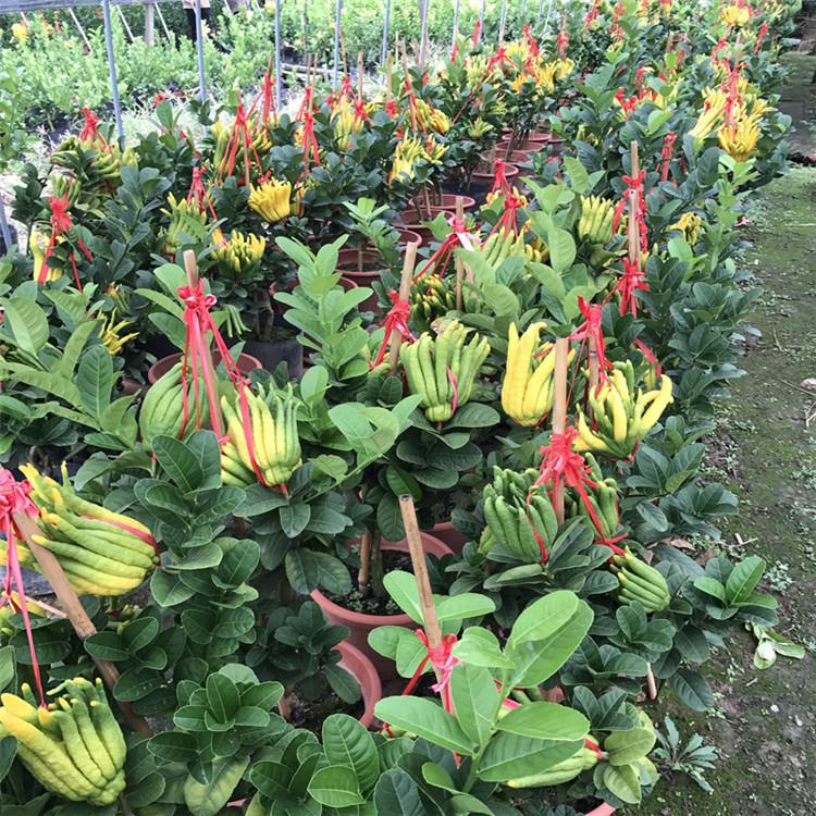 TB2AWNdprZnBKNjSZFrXXaRLFXa_!!