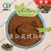 Extracto de Diente de León Flavonoides de Diente de León Polvo Concentrado de Diente de León Jin Heng en Stock Envío Gratis