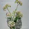 Flor de piedra coliflor silvestre cebolleta bosque salón de bodas área de bienvenida pared de flores arreglo floral flor artificial comercio exterior al por mayor flor artificial