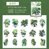 Adesivos de Dia Bonito Série Floresta Tropical plantas coloridas em vaso conta manual adesivos decorativos DIY 6 tipos