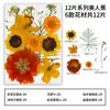 Cartão de Cumprimentos Cartão Pequeno DIY Artesanal Flores Secas Criativo Simples Bênção Manuscrita Cartão Postal em Branco Presente para o Dia dos Professores