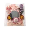 Pegatinas para Marco de Fotos con Flores Preservadas Abanico de Papel Cubierta de Vidrio Flores Secas Paquete de Materiales DIY Manualidades Infantiles Accesorios para Pods Flores Secas