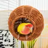 Nido Dormidero para Pájaros, Nido de Ratán para Loros, Oso Dorado, Nido Cálido Colgante de Plástico para Hámster, Paisajismo para Ardillas, Enviado en Nombre de Toda la Red
