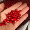 Grande Quantidade de Contas Soltas Naturais de Feijão Vermelho, Contas em Formato de Peixe de Madeira de Redwood, Corrente para Pulseira DIY Feita à Mão, Acessórios com Furo para Feijão Vermelho, Joias